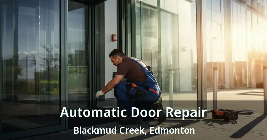 Automatic Door Repair Blackmud Creek, Edmonton - AB