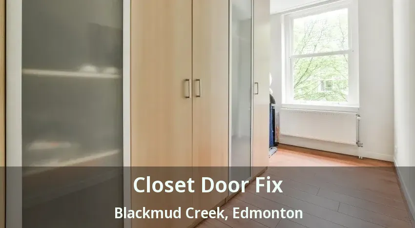 Closet Door Fix Blackmud Creek, Edmonton - AB