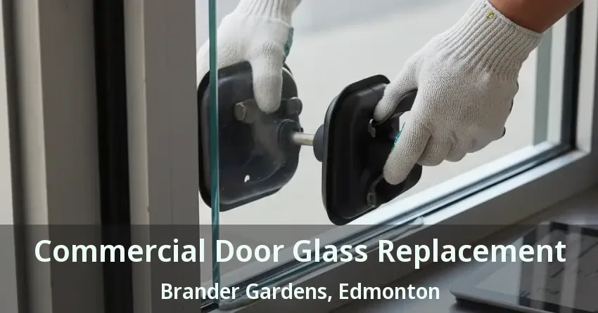 Commercial Door Glass Replacement Brander Gardens, Edmonton - AB