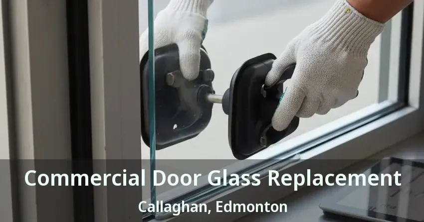 Commercial Door Glass Replacement Callaghan, Edmonton - AB