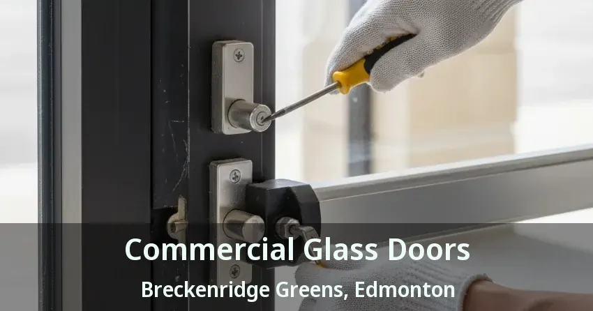 Commercial Glass Doors Breckenridge Greens, Edmonton - AB