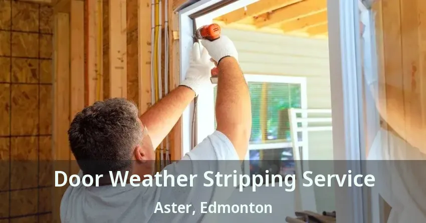 Door Weather Stripping Service Aster, Edmonton - AB