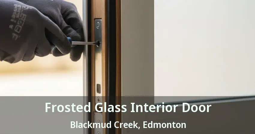 Frosted Glass Interior Door Blackmud Creek, Edmonton - AB