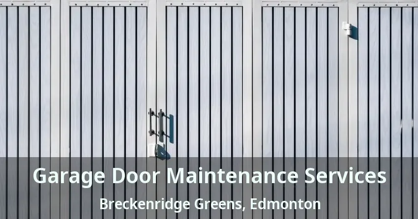Garage Door Maintenance Services Breckenridge Greens, Edmonton - AB