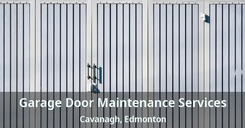 Garage Door Maintenance Services Cavanagh, Edmonton - AB