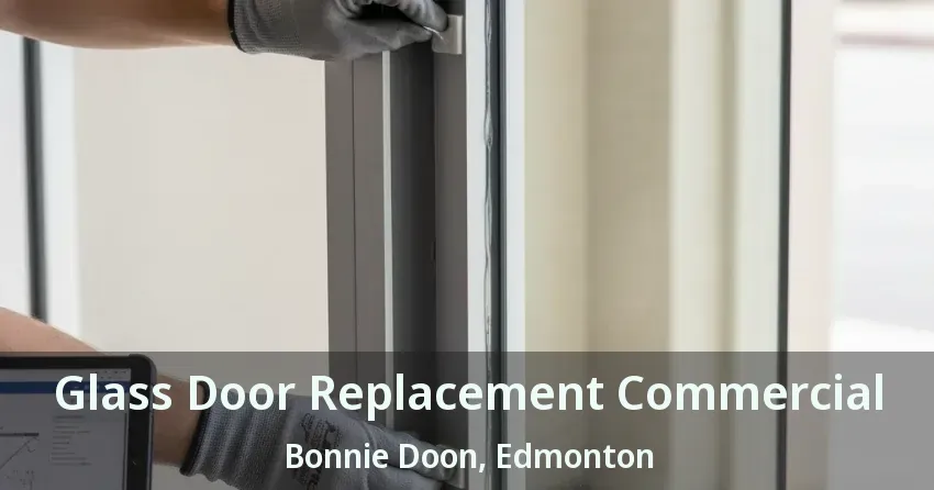 Glass Door Replacement Commercial Bonnie Doon, Edmonton - AB
