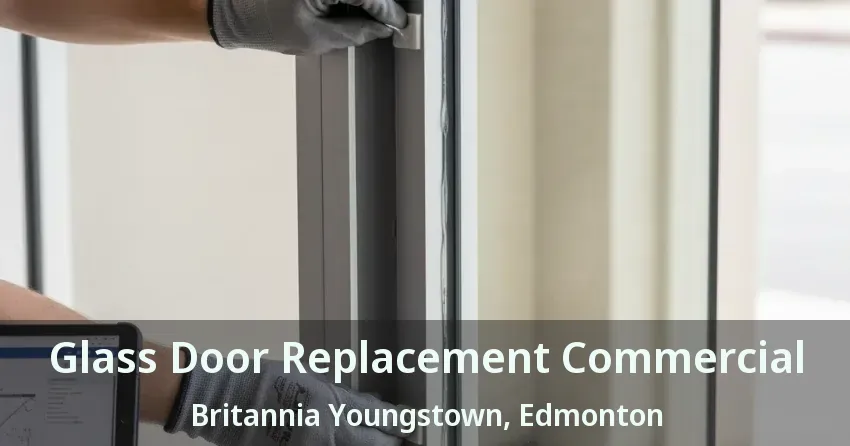 Glass Door Replacement Commercial Britannia Youngstown, Edmonton - AB