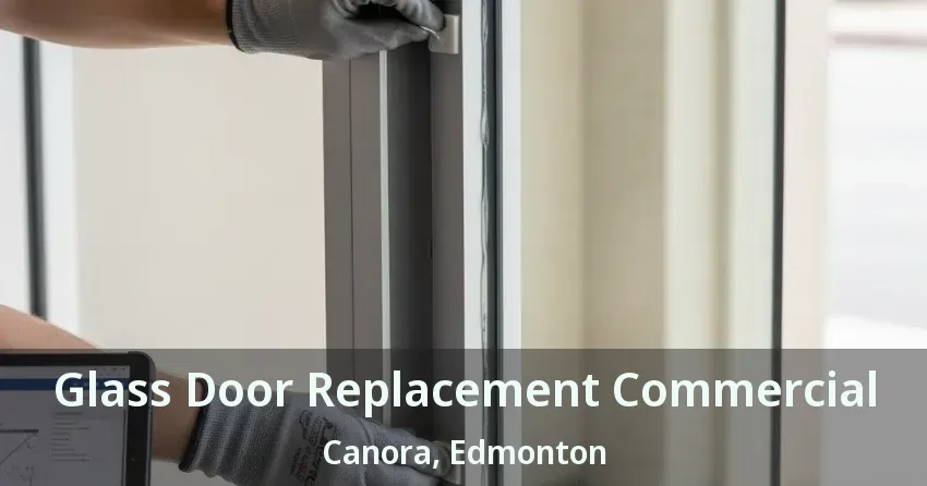 Glass Door Replacement Commercial Canora, Edmonton - AB
