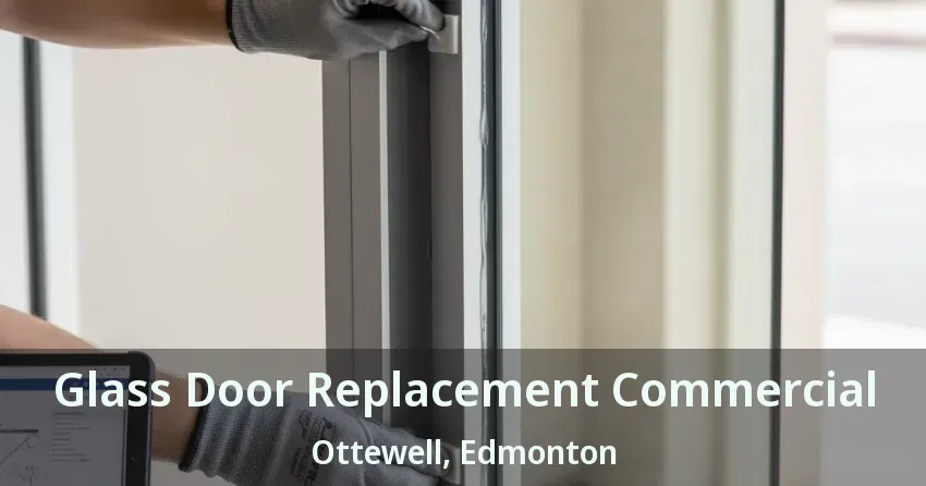 Glass Door Replacement Commercial Ottewell, Edmonton - AB