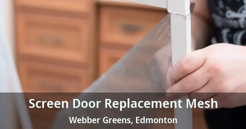 Screen Door Replacement Mesh Webber Greens, Edmonton - AB